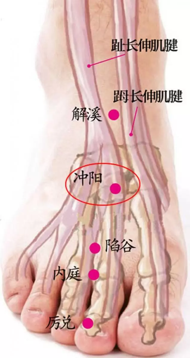 衝陽穴,最好的養胃保健藥