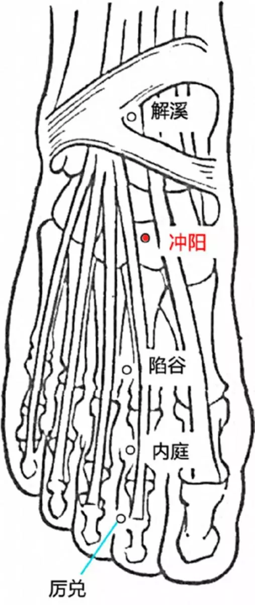 衝陽穴,最好的養胃保健藥