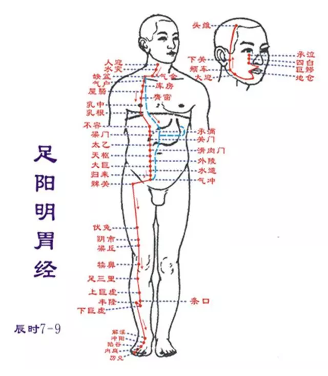 衝陽穴,最好的養胃保健藥