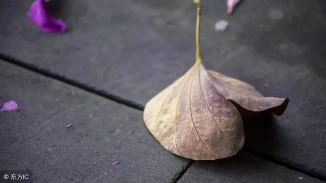 離婚後孩子想吃媽媽做的飯,我帶他去岳母家,開門後我說不出話
