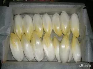 德國人最喜歡的蔬菜之一,像白菜又像花,中國人拿來當成盆栽