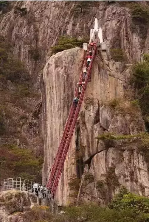 恐怖的橋,剛看第一眼腿就軟了
