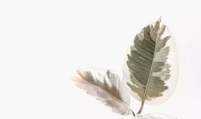 不要高估你和任何一個人的關係!(深度好文)