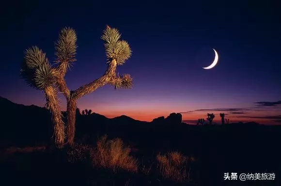 美國那些可以看滿天繁星的最佳景點
