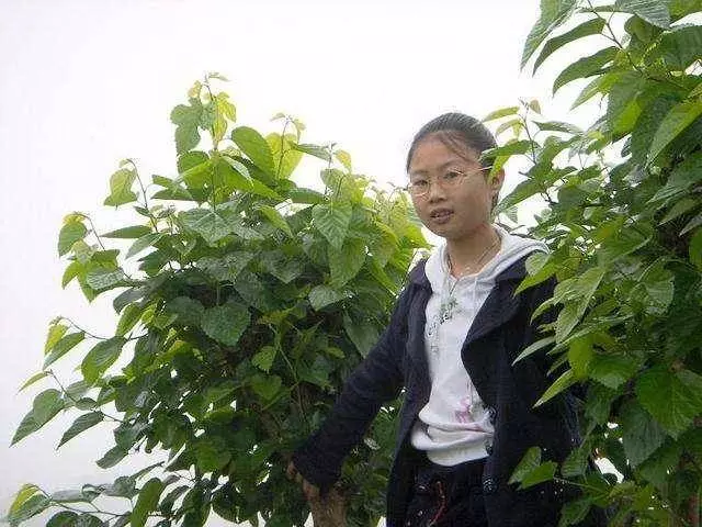 心肌梗塞突然發生時,教你用10秒鐘自救,關鍵的黃金時刻,能救自己一命!