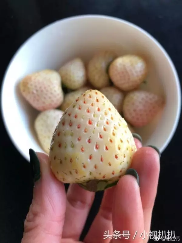 陳冠希家裡到底多有錢!老婆隨手PO了「這一張天價水果照」!網友嚇傻:這才是土豪!
