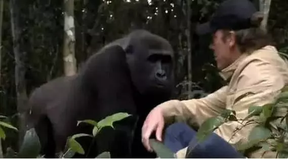 極度感人!除了同性之間是真愛,還有跨越種族的愛戀!