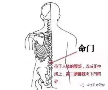 常按兩穴位,健脾又祛濕,原來可以這麼容易!