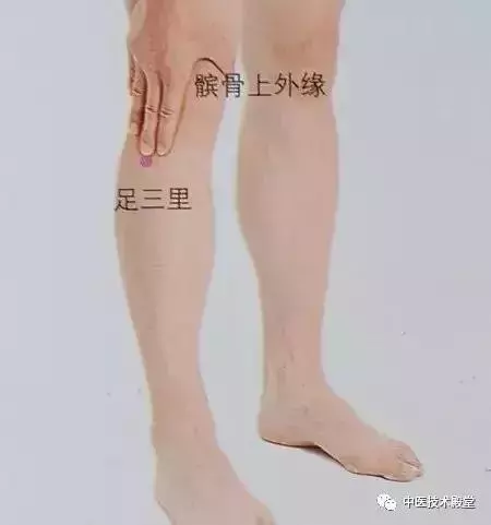 常按兩穴位,健脾又祛濕,原來可以這麼容易!