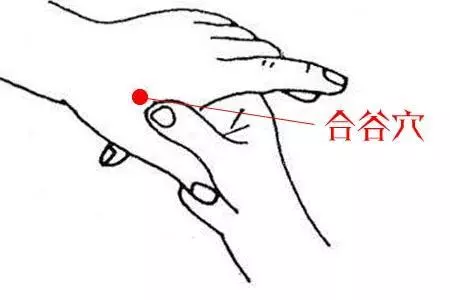 手掌上的5大穴位常刺激功效可不小,經常按摩還可以治病