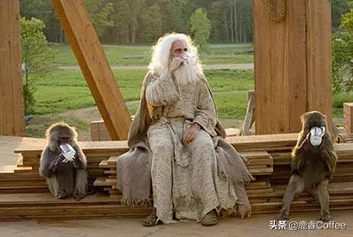 動物咖啡界的一股清流,猴子咖啡什麼口味?