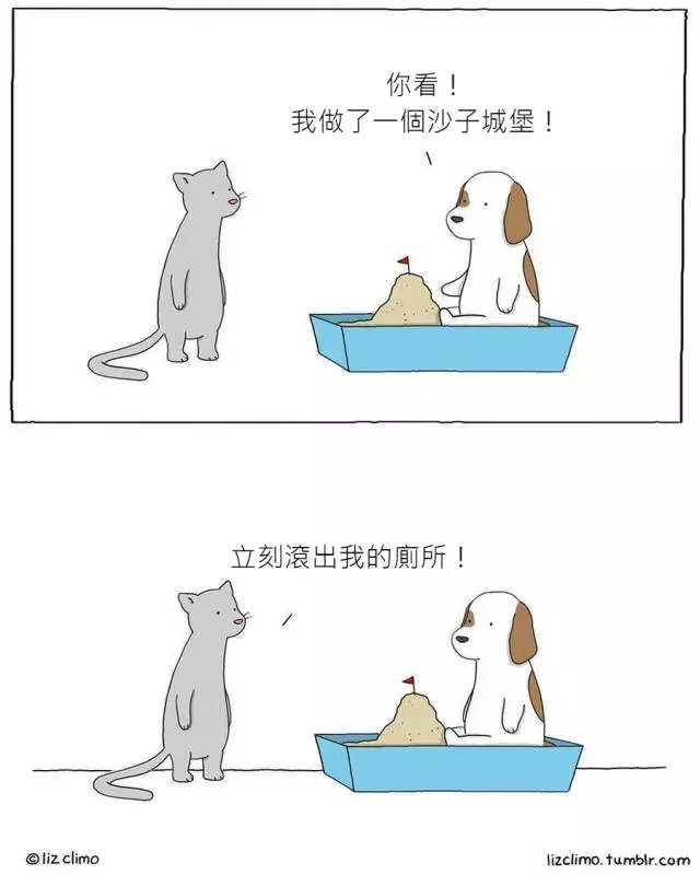 17張「如果動物會講話」的超療癒插畫!#8 老師隨堂考「變色龍成功和椅子融為一體」:我很強吧