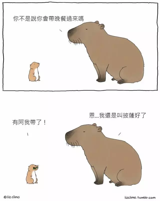 17張「如果動物會講話」的超療癒插畫!#8 老師隨堂考「變色龍成功和椅子融為一體」:我很強吧