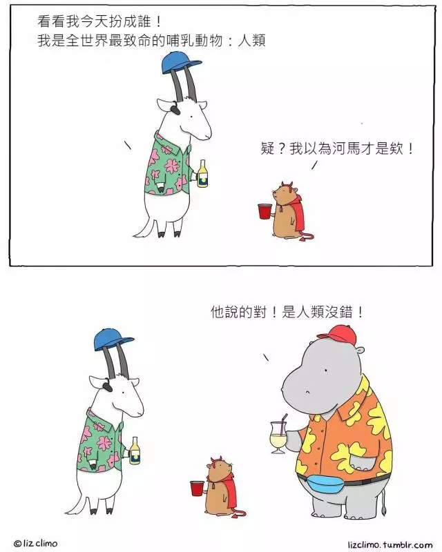 17張「如果動物會講話」的超療癒插畫!#8 老師隨堂考「變色龍成功和椅子融為一體」:我很強吧