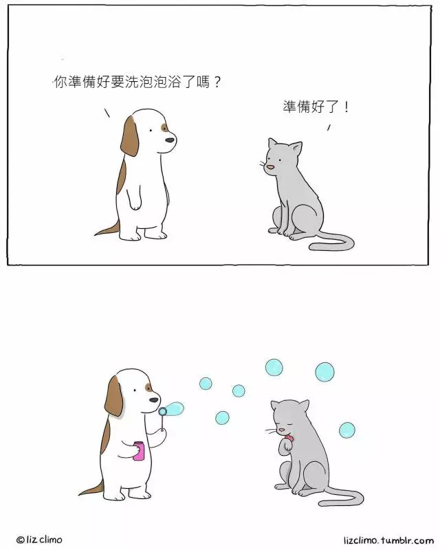 17張「如果動物會講話」的超療癒插畫!#8 老師隨堂考「變色龍成功和椅子融為一體」:我很強吧