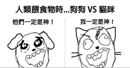 20個讓你點頭點到脫臼的「狗狗 VS 貓咪」超中肯生活習慣差異!