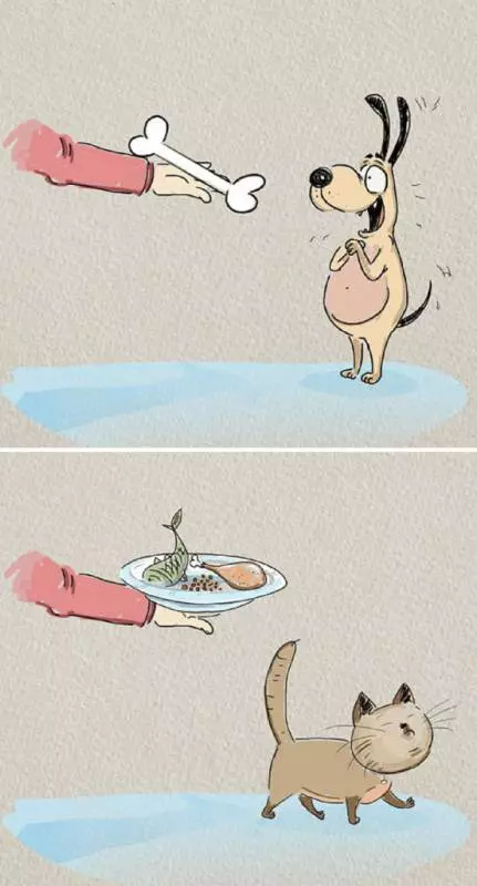 20個讓你點頭點到脫臼的「狗狗 VS 貓咪」超中肯生活習慣差異!