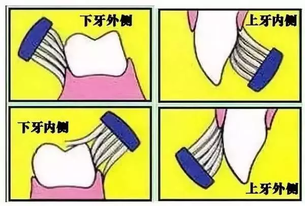 長壽能通過這10件事改變!想活多久,你說了算!