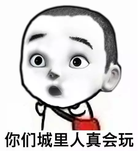 貓咪趕走了母雞,賴在雞窩不肯離去,得知原因主人立刻攆走了它