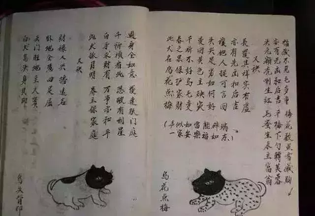 老爸嫌兒子帶回家狗難看要扔掉,奶奶看到狗模樣後:這狗給十萬也不賣,傻子才扔掉