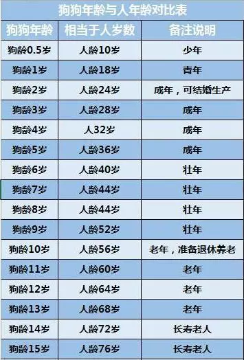 老爸嫌兒子帶回家狗難看要扔掉,奶奶看到狗模樣後:這狗給十萬也不賣,傻子才扔掉