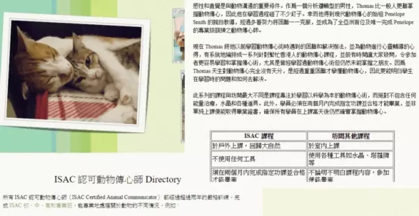 記者測試5位自稱「可和動物溝通」的大師,等他們講完公布「這是玩具龜」!網友:廢到笑!