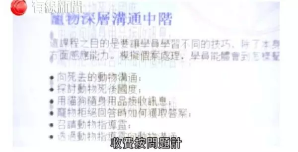 記者測試5位自稱「可和動物溝通」的大師,等他們講完公布「這是玩具龜」!網友:廢到笑!