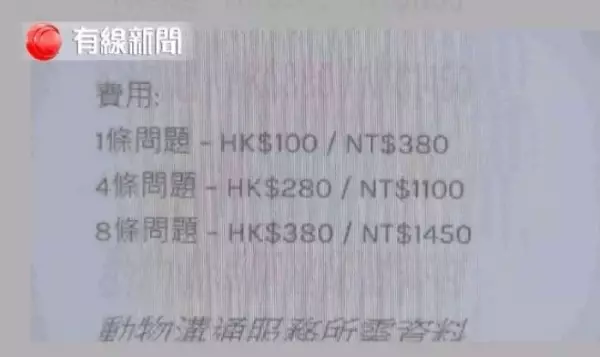 記者測試5位自稱「可和動物溝通」的大師,等他們講完公布「這是玩具龜」!網友:廢到笑!