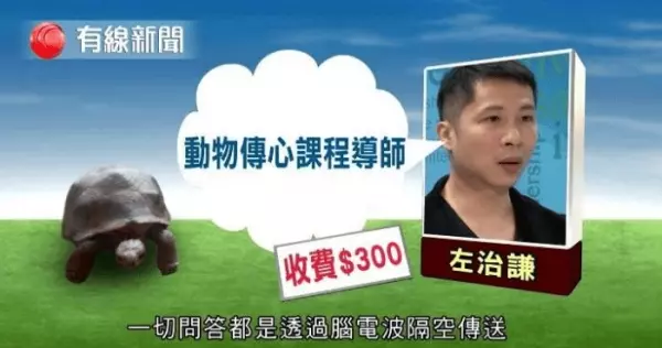 記者測試5位自稱「可和動物溝通」的大師,等他們講完公布「這是玩具龜」!網友:廢到笑!