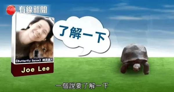 記者測試5位自稱「可和動物溝通」的大師,等他們講完公布「這是玩具龜」!網友:廢到笑!