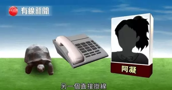 記者測試5位自稱「可和動物溝通」的大師,等他們講完公布「這是玩具龜」!網友:廢到笑!