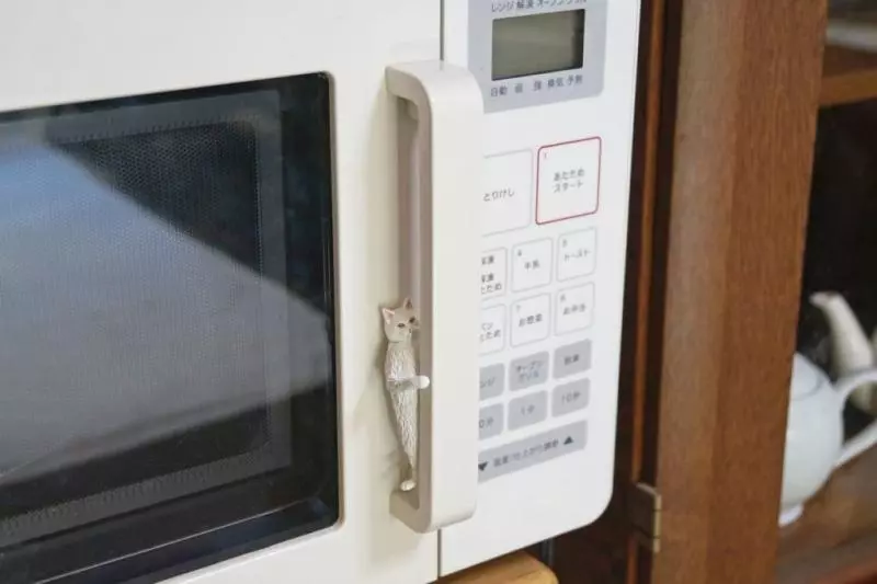 18個「爆紅梗圖→實體模型」讓網友跪求量產！人型貓咪讓人笑到噴淚XD