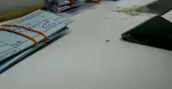 老闆驚見桌子上的「鑽石自己跑路」讓他傻眼!沒想到放大一看,「超迷你螞蟻大盜」被逮個正著!下一秒螞蟻大盜GG了!