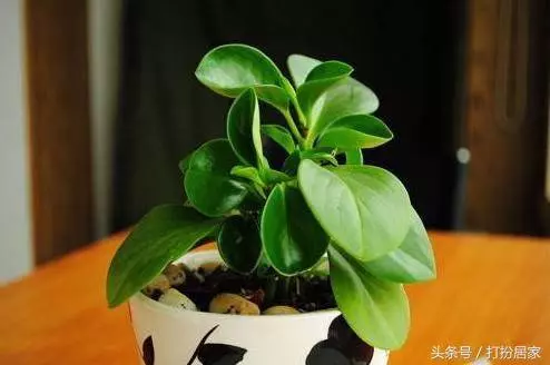 可別把這樣的鐘錶掛在家中,除非你想妻離子散,家宅難安,趕快改 !