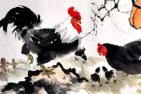 你家有屬雞的?屬雞人不得了了,今天開始大喜特喜,$好運一輩子$