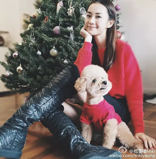 她是黃宗澤的初戀女友,當了7年小三成功上位,原配癱瘓無人管 !
