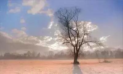 人怕傷心,樹怕傷根;人心換人心,換不來就轉身!(精闢)