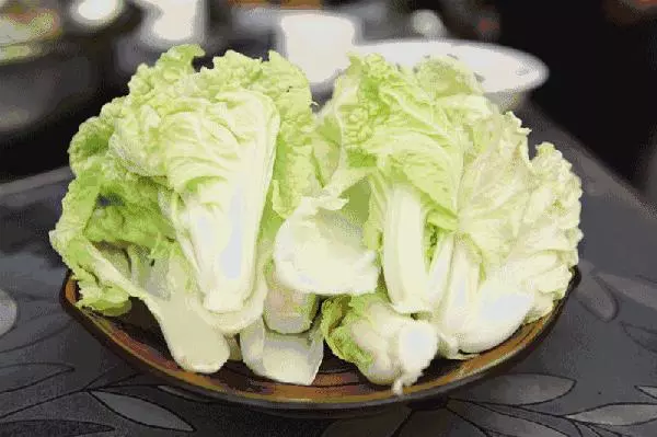 原來春季要這樣吃,吃對養生,吃錯傷身體!