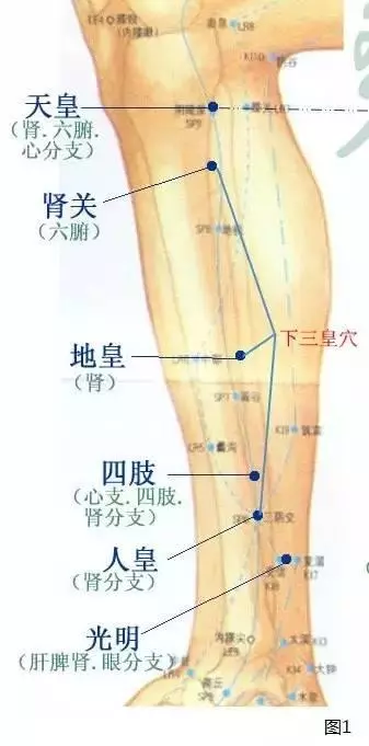 腎精不足,敲敲迎面骨、用用下三皇、做好還陽臥