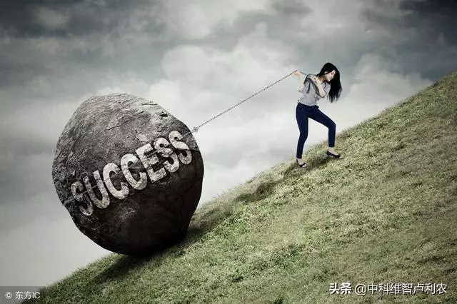 十六位老闆的財富格言