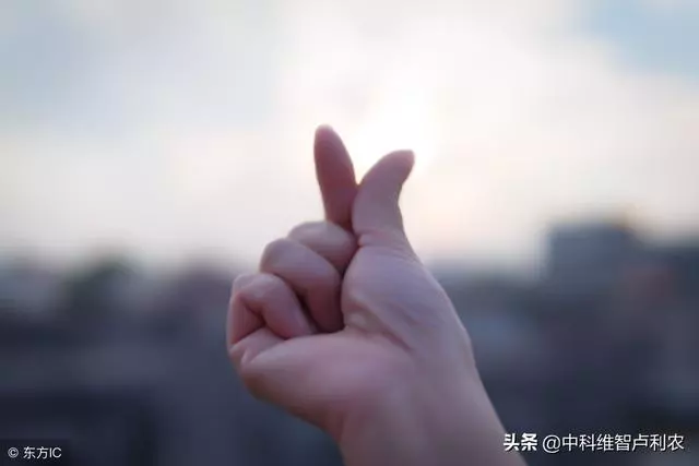 十六位老闆的財富格言