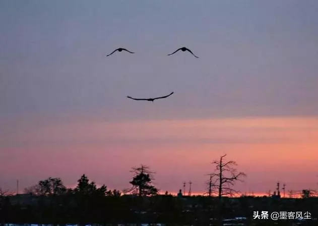 笑而不語,是因為看開了