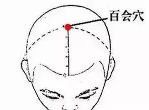 一套「穴位保健操」,它集養生、健身……於一體,調節人體陰陽平衡