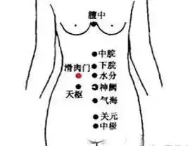 一套「穴位保健操」,它集養生、健身……於一體,調節人體陰陽平衡