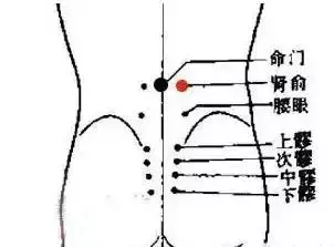 一套「穴位保健操」,它集養生、健身……於一體,調節人體陰陽平衡