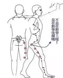 一套「穴位保健操」,它集養生、健身……於一體,調節人體陰陽平衡