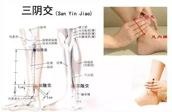好睡眠的最佳補品,穴位養生法學起來!