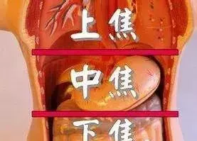三焦經:女人的養生經!打通它,婦科病、慢性病好得快!