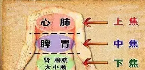 三焦經:女人的養生經!打通它,婦科病、慢性病好得快!