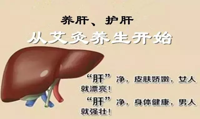 春主生髮,應肝,是艾灸養肝、調理肝火旺的大好時機!